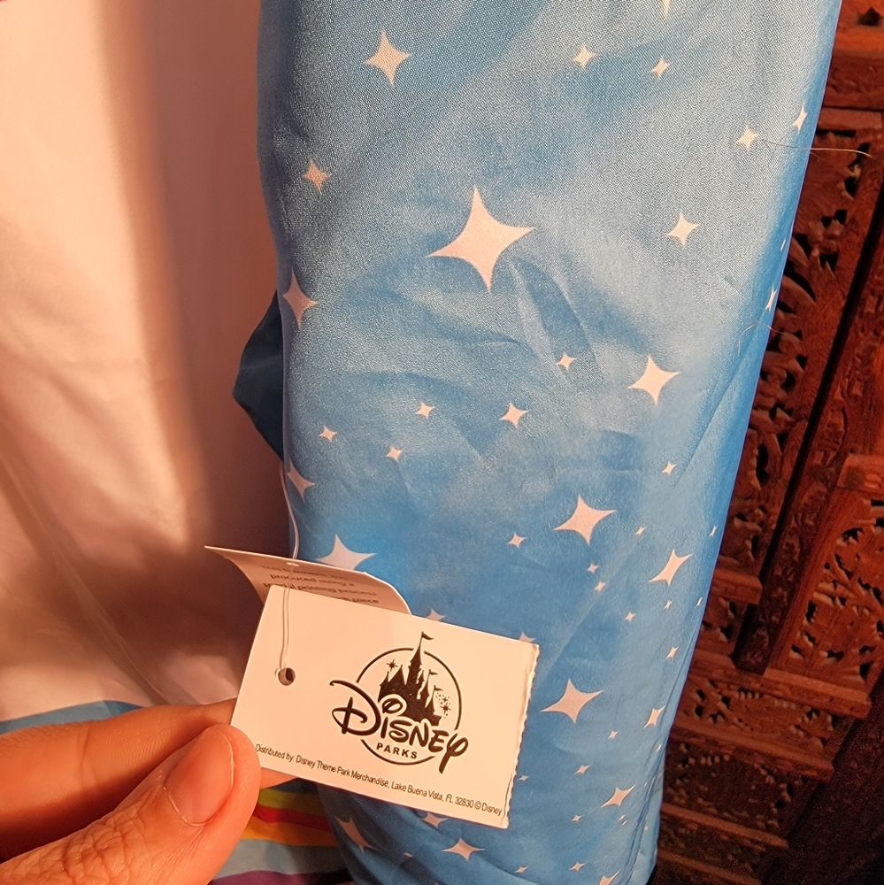 NWT Disney Fantasyland Classic Hooded Windbreaker with Rainbow Stripe, Size XL - Picture 6 of 8